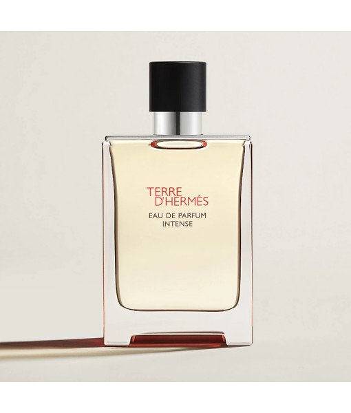 Hermès<br>Terre D'Hermès<br>Eau de Parfum Intense<br> 50ml / 1.6 Fl. Oz.